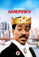  Поездка в Америку смотреть онлайн (1988) 