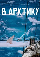  В Арктику смотреть онлайн (2023) 