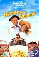  Герби сходит с ума смотреть онлайн (1980) 